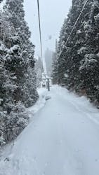 花輪スキー場　アルパスに投稿された画像（2025/2/27）