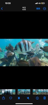 武藤潜水に投稿された画像（2025/2/27）