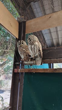 伊豆アニマルキングダムに投稿された画像（2025/2/27）