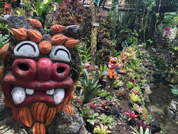 ナゴパイナップルパークに投稿された画像（2025/2/27）