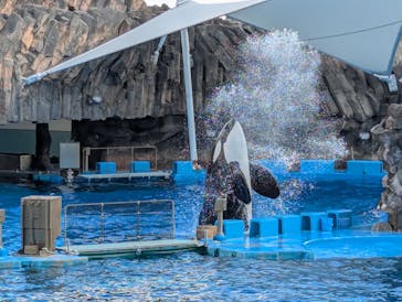 名古屋港水族館に投稿された画像（2025/2/27）