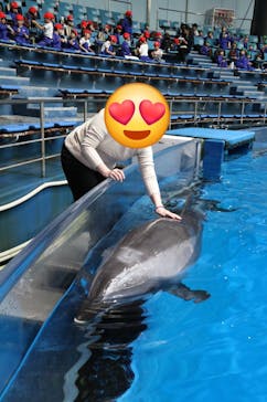 マクセル アクアパーク品川に投稿された画像（2025/2/27）