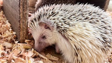 アニタッチ 東京ドームシティに投稿された画像（2025/2/27）