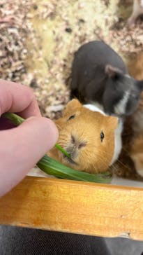 アニタッチ 東京ドームシティに投稿された画像（2025/2/27）