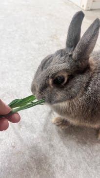 アニタッチ 東京ドームシティに投稿された画像（2025/2/27）