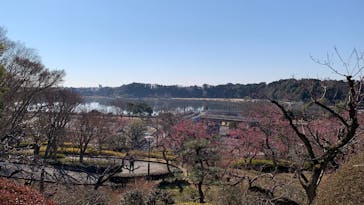 偕楽園本園に投稿された画像（2025/2/27）