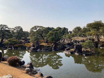 元離宮二条城に投稿された画像（2025/2/27）