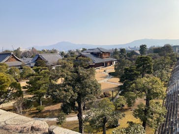 元離宮二条城に投稿された画像（2025/2/27）