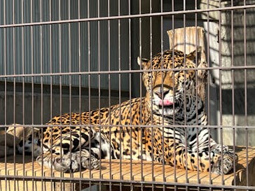 名古屋市東山動植物園に投稿された画像（2025/2/27）