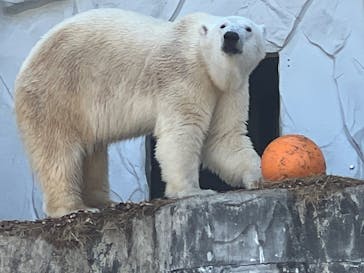 名古屋市東山動植物園に投稿された画像（2025/2/27）