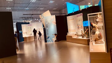 特別展「鳥 ～ゲノム解析が解き明かす新しい鳥類の系統～」国立科学博物館に投稿された画像（2025/2/27）