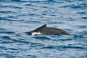 マリンクラブ ベリー 那覇店に投稿された画像（2025/2/27）
