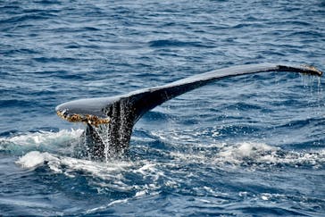 マリンクラブ ベリー 那覇店に投稿された画像（2025/2/27）