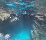 MalDive（モルダイブ）に投稿された画像（2025/2/27）