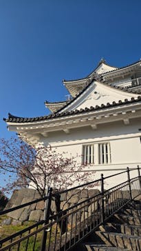 小田原城に投稿された画像（2025/2/27）