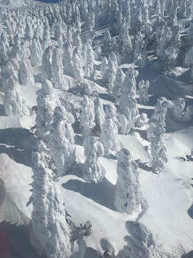 蔵王ロープウェイに投稿された画像（2025/2/27）