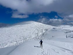 阿仁スキー場に投稿された画像（2025/2/27）