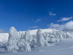阿仁スキー場に投稿された画像（2025/2/27）