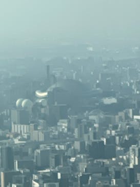 ハルカス300(展望台)に投稿された画像（2025/2/27）