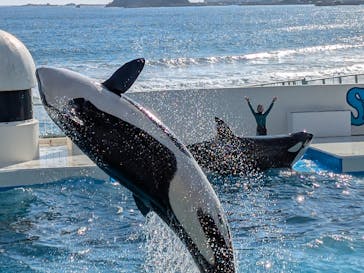 鴨川シーワールドに投稿された画像（2025/2/27）