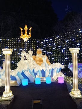 伊豆高原グランイルミに投稿された画像（2025/2/27）