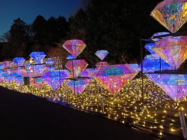 伊豆高原グランイルミに投稿された画像（2025/2/27）