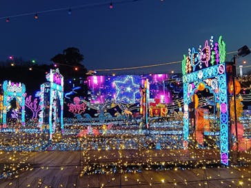 伊豆高原グランイルミに投稿された画像（2025/2/27）