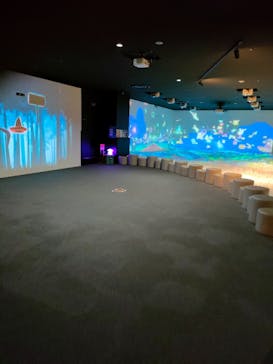 リトルプラネット KITE MITE MATSUDOに投稿された画像（2025/2/27）