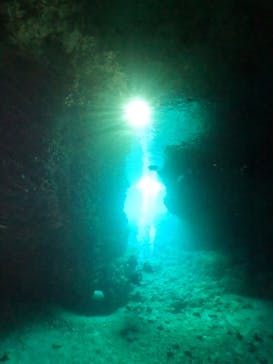 武藤潜水に投稿された画像（2025/2/28）