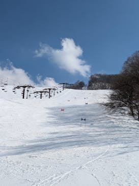 奥利根スノーパークに投稿された画像（2025/2/28）