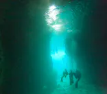 武藤潜水に投稿された画像（2025/2/28）