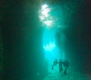 武藤潜水に投稿された画像（2025/2/28）