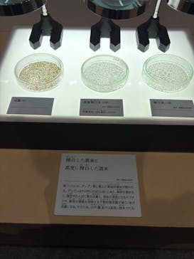 特別展「和食～日本の自然、人々の知恵～」に投稿された画像（2025/2/28）