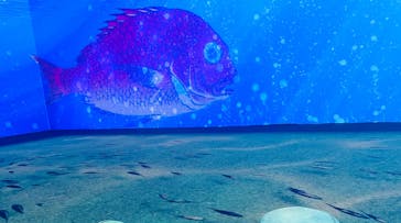 動き出す浮世絵展 TOKYOに投稿された画像（2025/2/28）