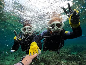 武藤潜水に投稿された画像（2025/2/28）