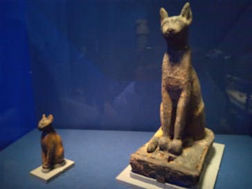 ブルックリン博物館所蔵 特別展 古代エジプトに投稿された画像（2025/2/28）