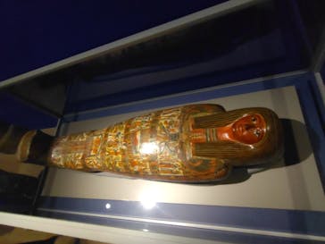 ブルックリン博物館所蔵 特別展 古代エジプトに投稿された画像（2025/2/28）