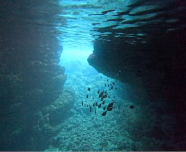 青の洞窟専門店　沖縄ダイビングショップ和に投稿された画像（2025/2/28）