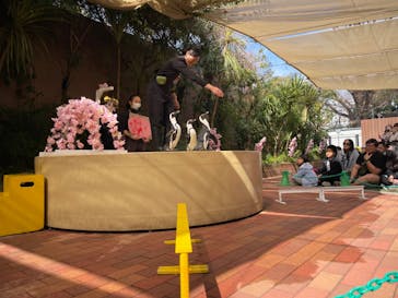 マクセル アクアパーク品川に投稿された画像（2025/2/28）