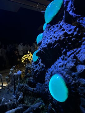 金曜ロードショーとジブリ展　三重展に投稿された画像（2025/2/28）