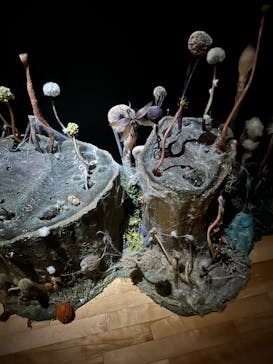 金曜ロードショーとジブリ展　三重展に投稿された画像（2025/2/28）