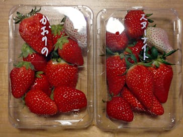 上泉農園に投稿された画像（2025/2/28）