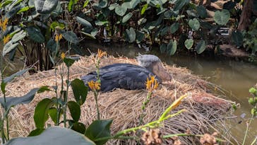 神戸どうぶつ王国に投稿された画像（2025/2/28）