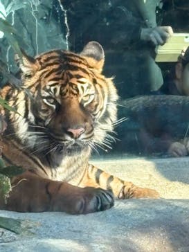 神戸どうぶつ王国に投稿された画像（2025/2/28）