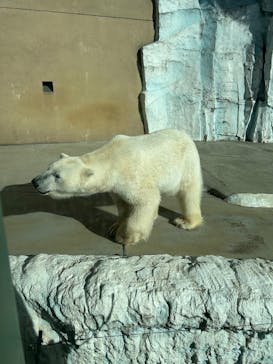 恩賜上野動物園に投稿された画像（2025/2/28）