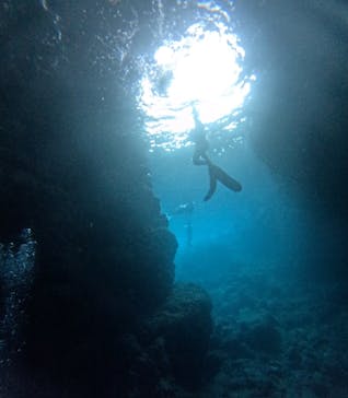 沖縄マリンサービス碧に投稿された画像（2025/2/28）