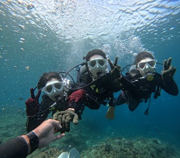 沖縄マリンサービス碧に投稿された画像（2025/2/28）