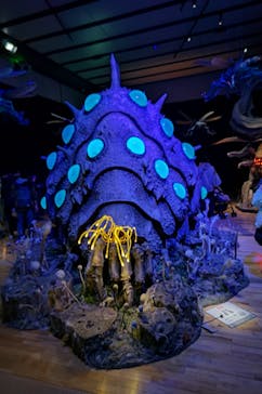 金曜ロードショーとジブリ展　三重展に投稿された画像（2025/2/28）