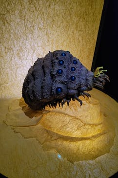 金曜ロードショーとジブリ展　三重展に投稿された画像（2025/2/28）