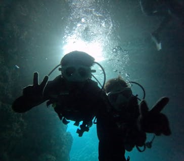 沖縄マリンサービス碧に投稿された画像（2025/2/28）